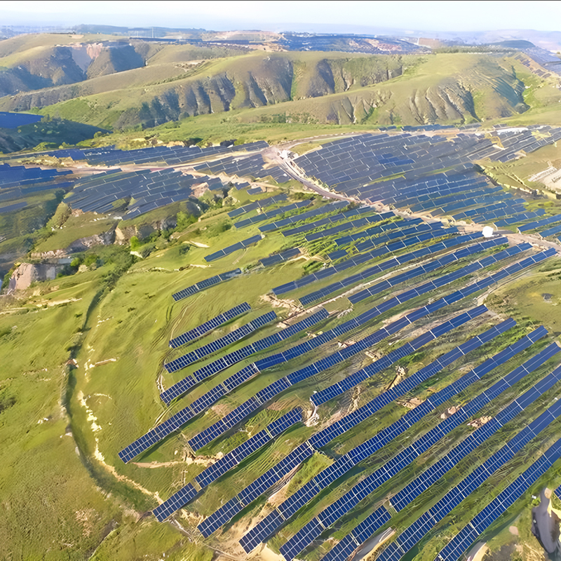 Forest-Solar Hybrid Power Station